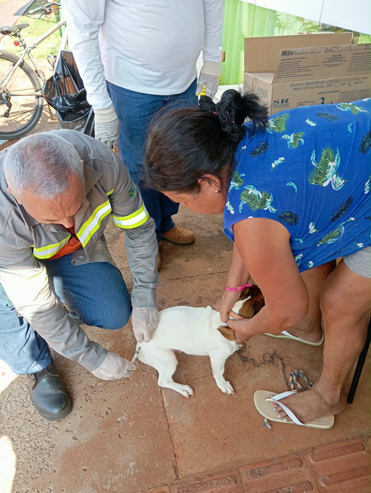 Vigilância Sanitária de Itaporã apresenta balanço da vacinação antirrábica em cães e gatos