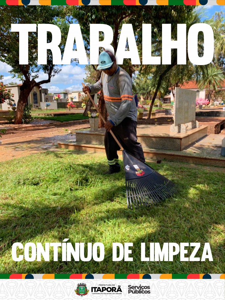 Imagem 6