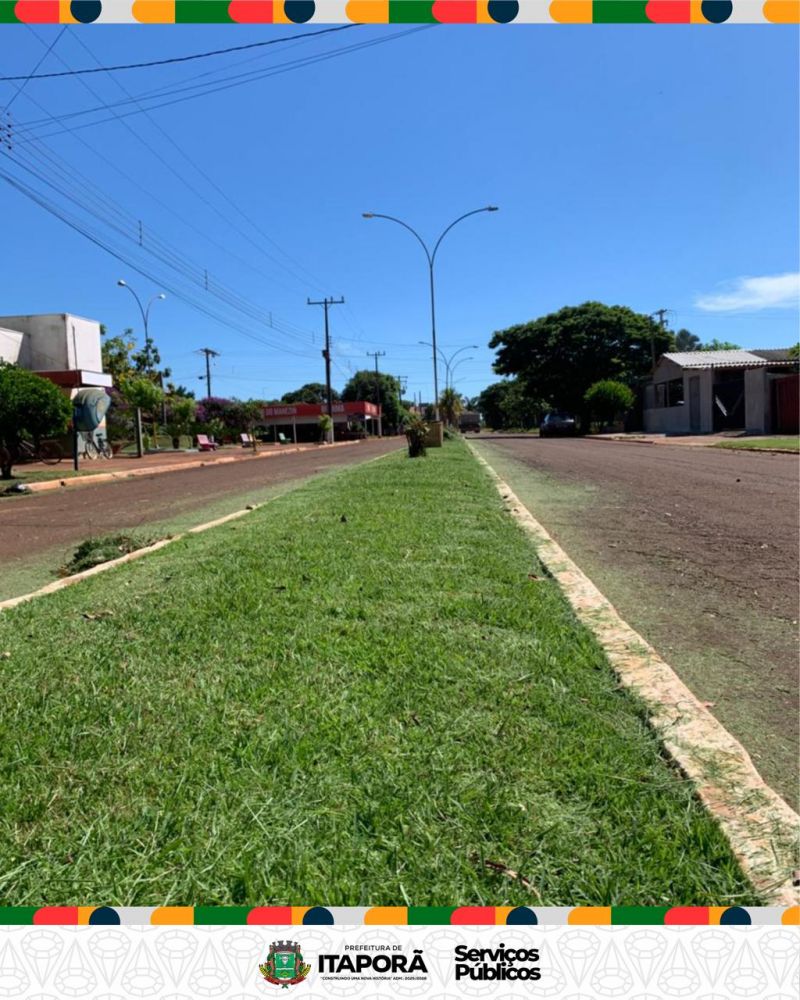 Imagem 7
