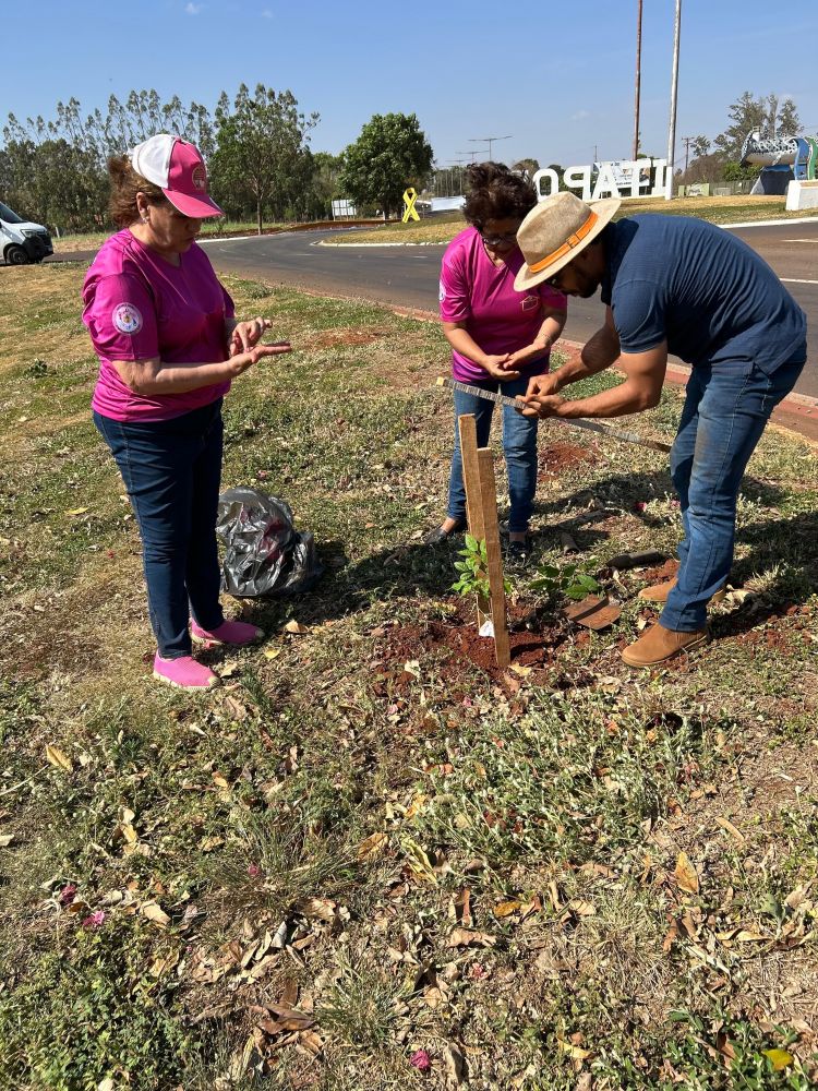 Parceria entre Rotary e Prefeitura de Itaporã realiza projeto ambiental