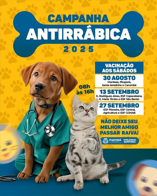 Itaporã lança campanha de vacinação antirrábica com meta de imunizar mais de 7 mil animais