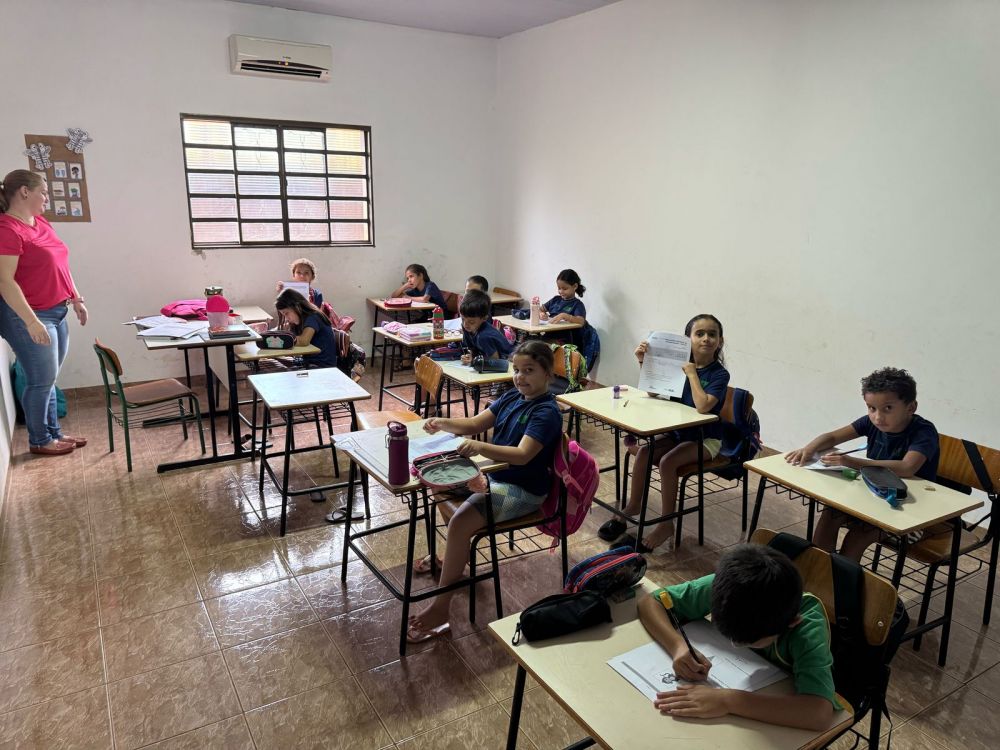 Imagem 7