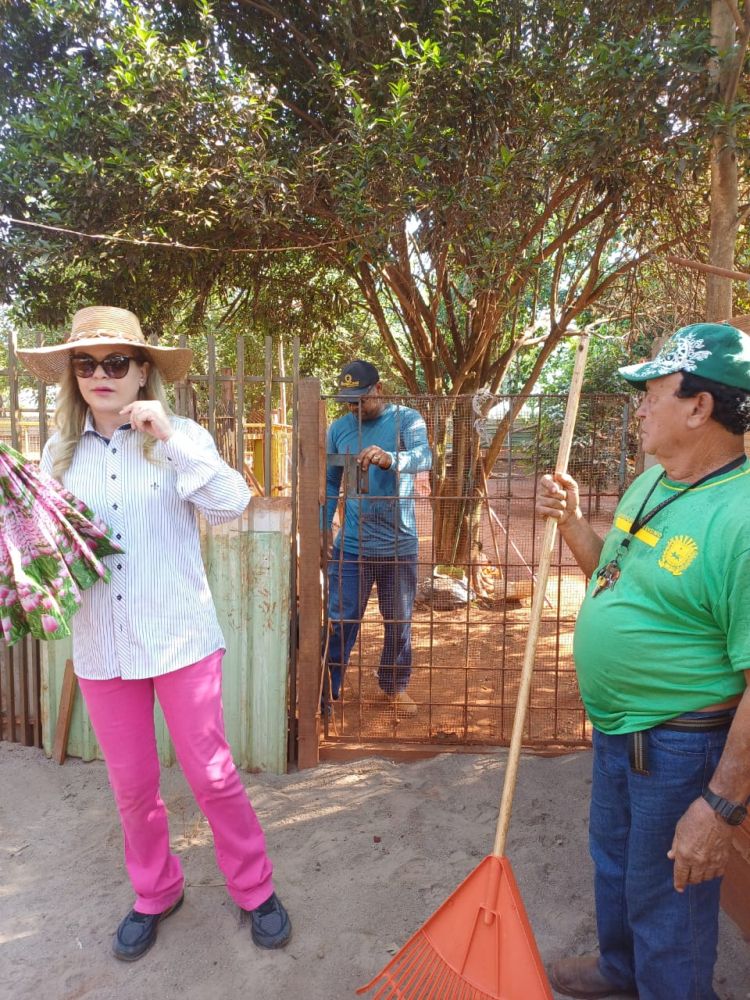 Imagem 1
