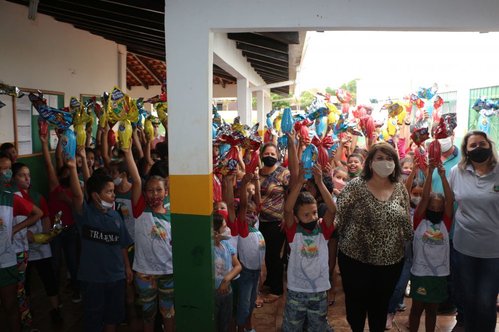 Imagem 7