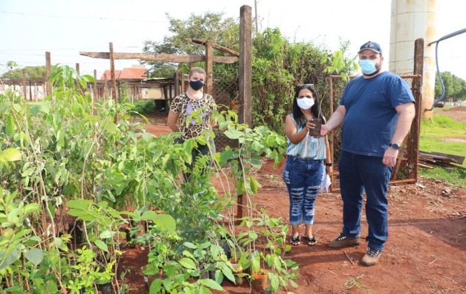Itaporã recebe mudas de plantas nativas para rearborização da cidade
