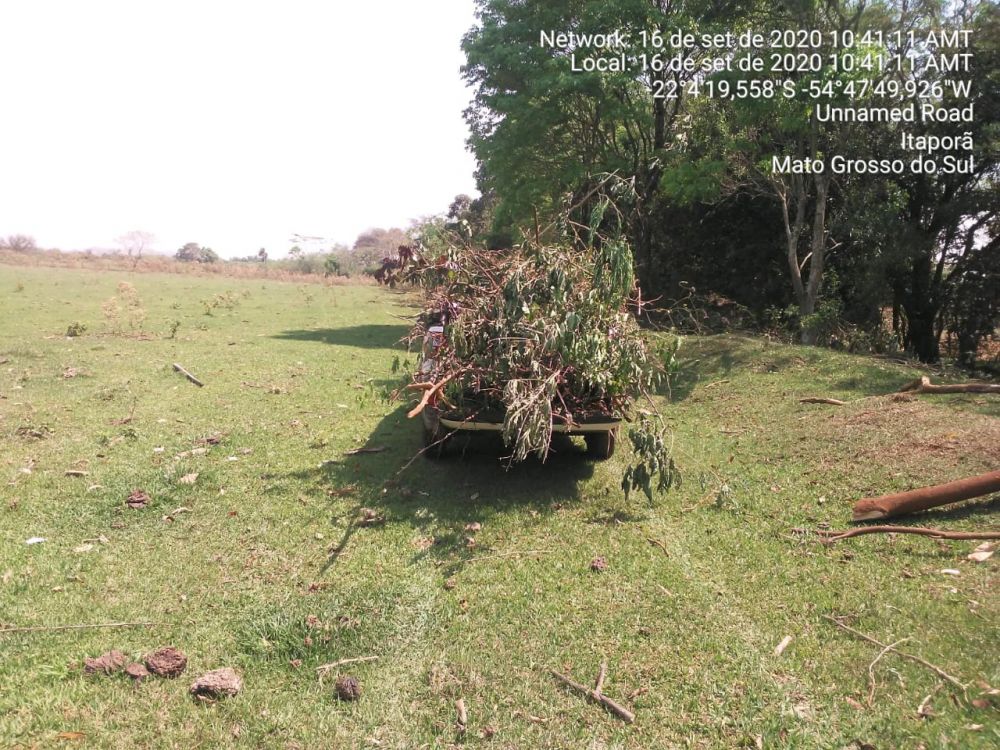 Imagem 3