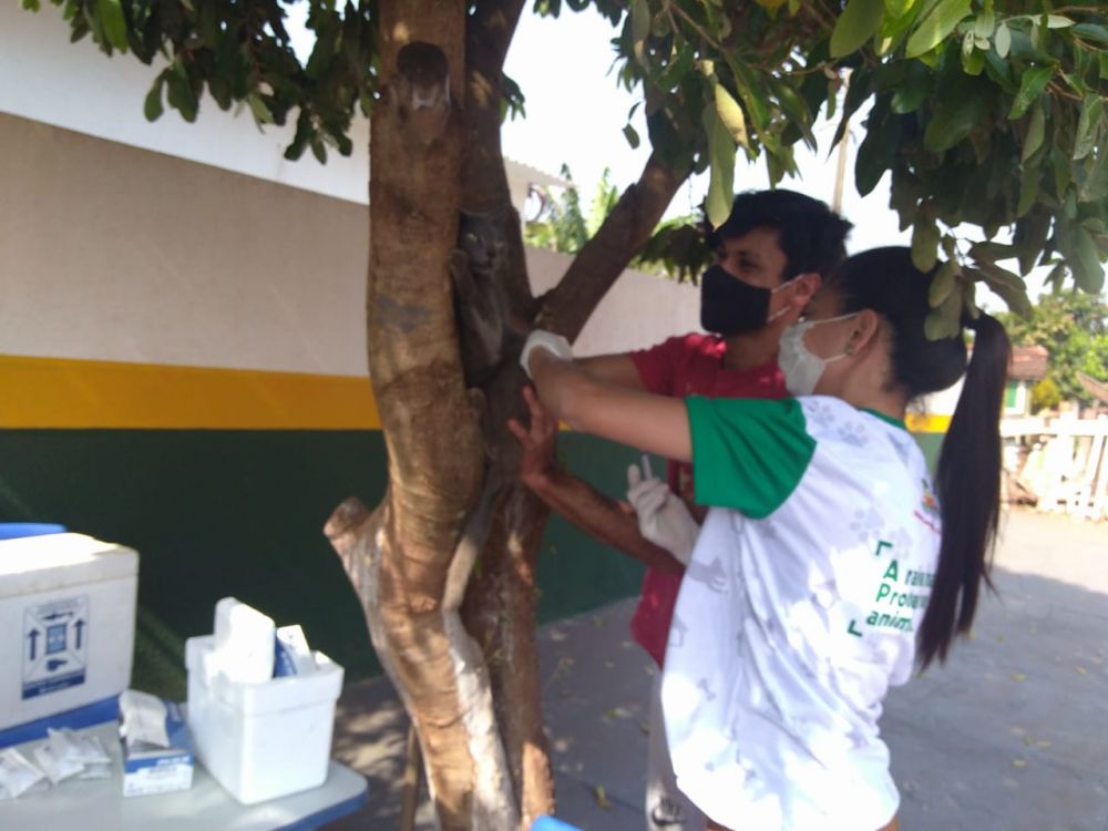 Imagem 3