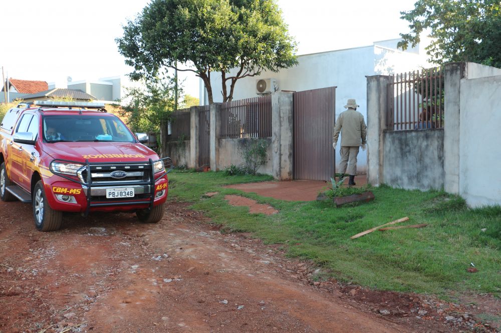 Imagem 1