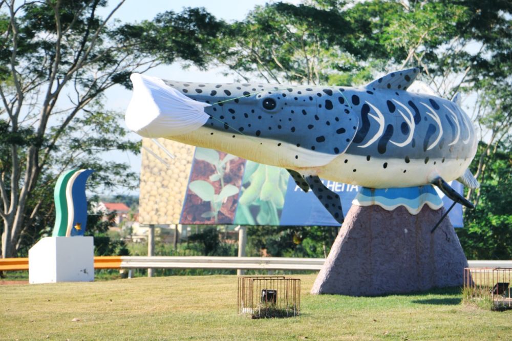 Peixe na entrada de Itaporã ganha máscara de proteção