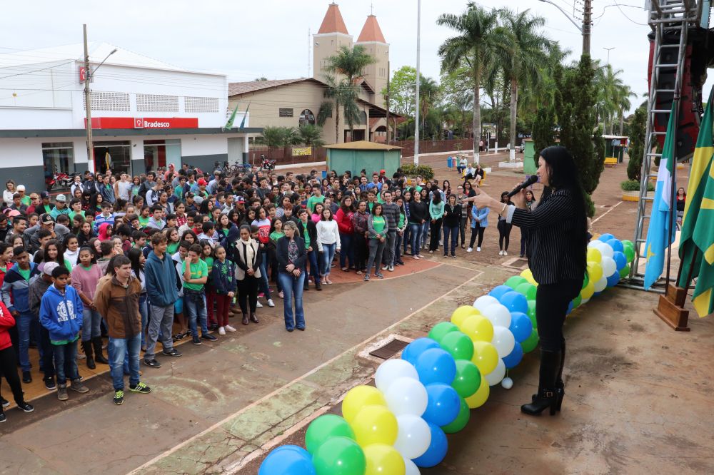 Imagem 7