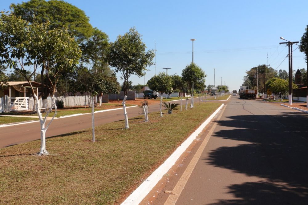 Imagem 5