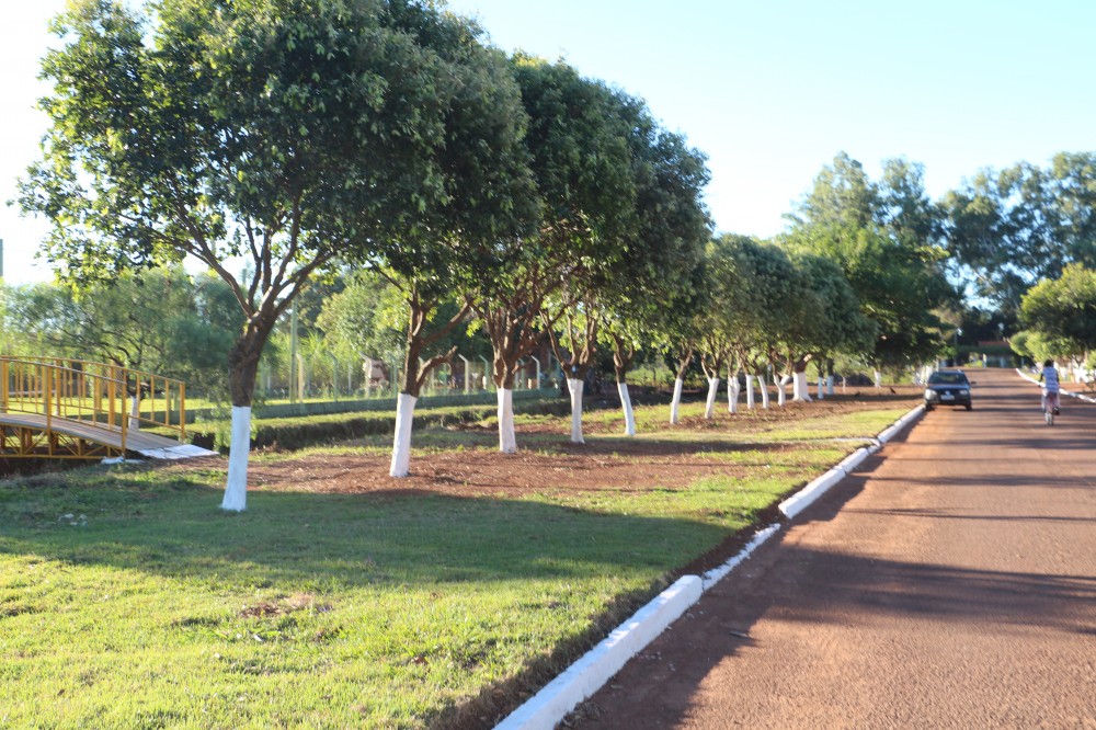 Primeira-dama realiza trabalho de revitalização no Bairro Lagoa e Moradores agradecem