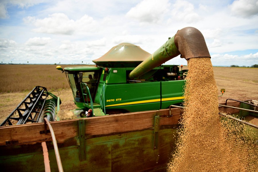 Itaporã é o município com maior produtividade de soja em MS