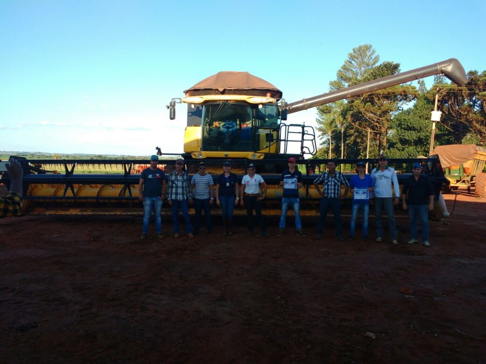 Imagem 4