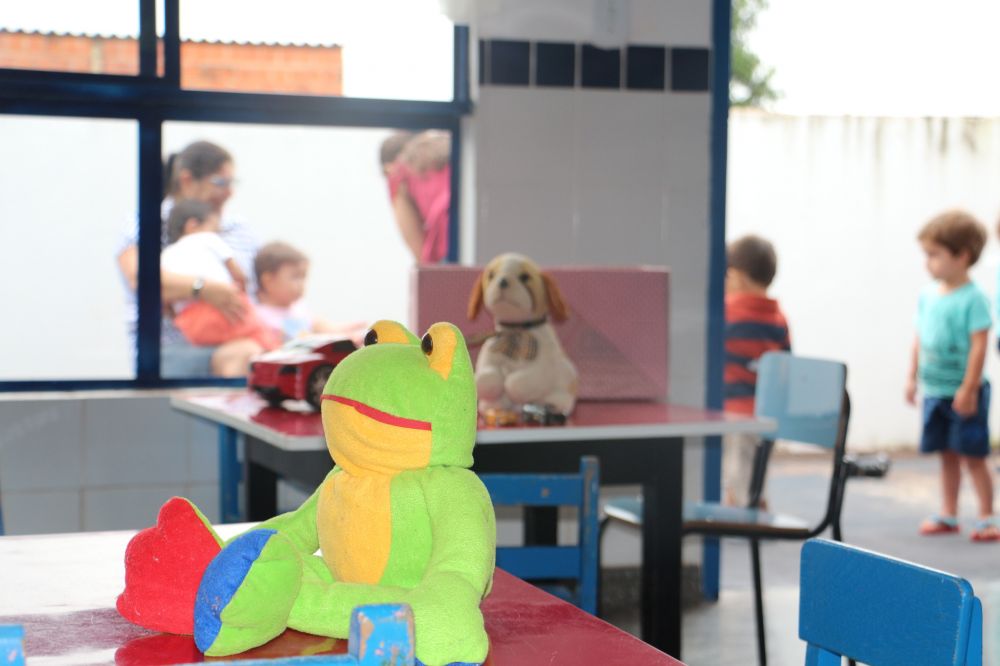 Imagem 5