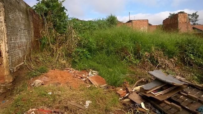 Em Itaporã imóveis que colocam em risco a saúde pública serão notificados.
